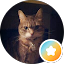 Amy T Avatar