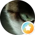 Dough Fresh Avatar